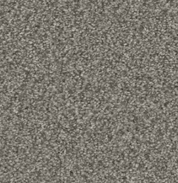 Image Alt Text